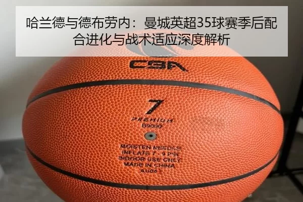 ha-lan-de-yu-de-bu-lao-nei-man-cheng-ying-chao-qiu-sai-ji-hou-pei-he-jin-hua-yu-zhan-shu-shi-ying-shen-du-jie-xi-2-399.jpg